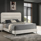 Plush Upholstered Design 1pc Queen Size Panel Bed