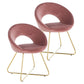 Modern Accent Velvet Chairs Set of 2