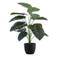 Artificial Alocasia Plant - 24" Tall Indoor Faux Greenery