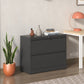 Lateral File Cabinet 2 Drawer