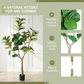 6FT Artificial Fiddle Leaf Fig Tree