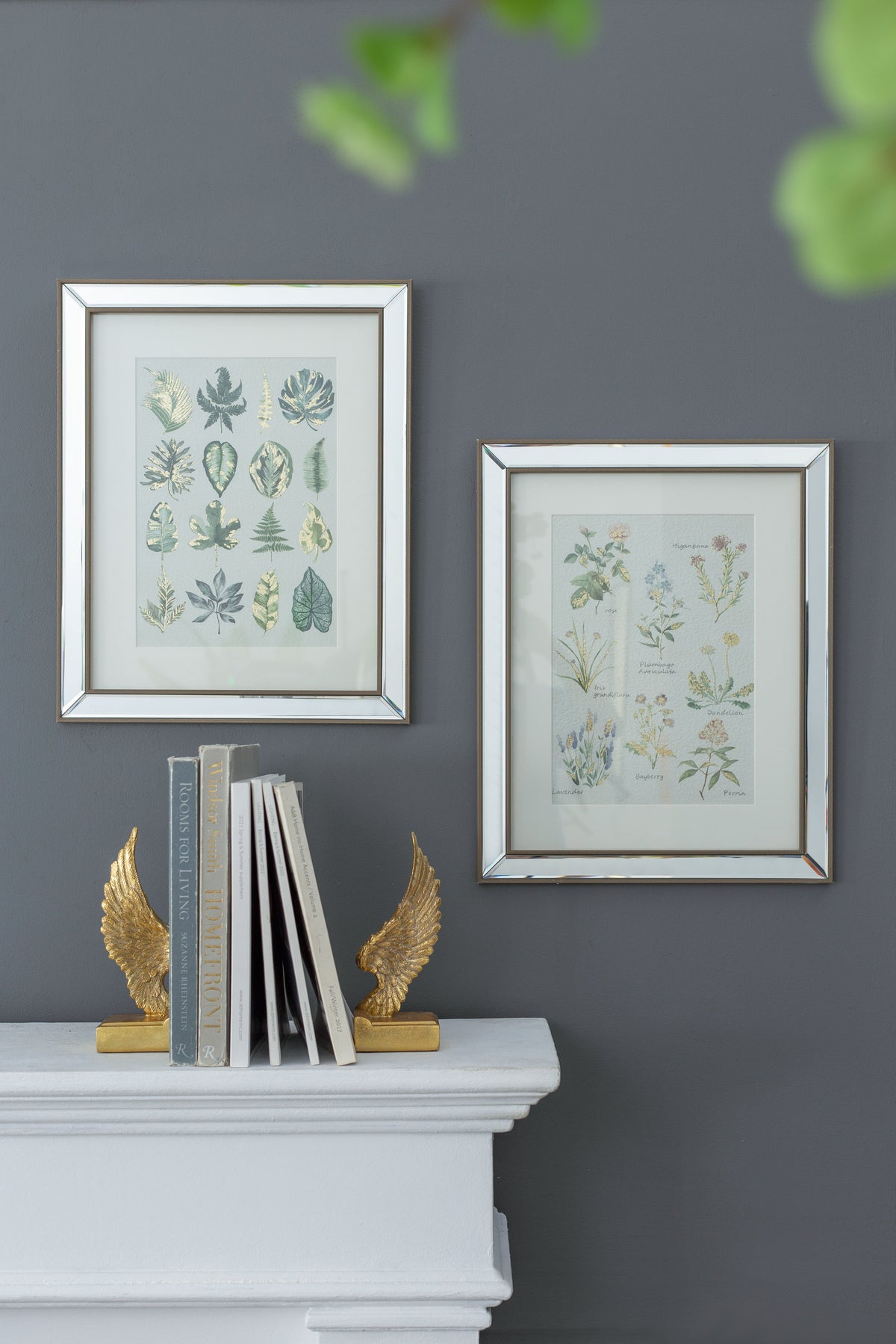 S/2 Liana Mirror Framed Wall Art