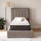 Limited Edition Plush - Mattress
