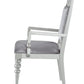 Maverick Fabric & Platinum Finish Arm Chair Set of 2