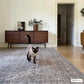 Greenpoint Dusty Blue Washable Rug