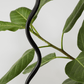 Squiggle Floor Lamp