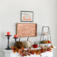 Set of 4 Velvety Pumpkins in Mesh Bag