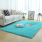Silky Fluffy Carpet Modern Home Decor Long Plush Shaggy Rug