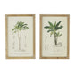Set of 2 Tree Framed Prints