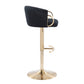 Contemporary Adjustable Bar Stool