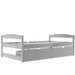 Twin Size Platform Bed With Two Drawers