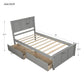 Twin Size Platform Storage Bed with Two Drawers