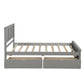 Twin Size Platform Storage Bed with Two Drawers