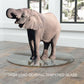 36-Inch Round Tempered Glass Table Top