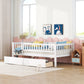 Twin Size Daybed Wood Bed with Two Drawers