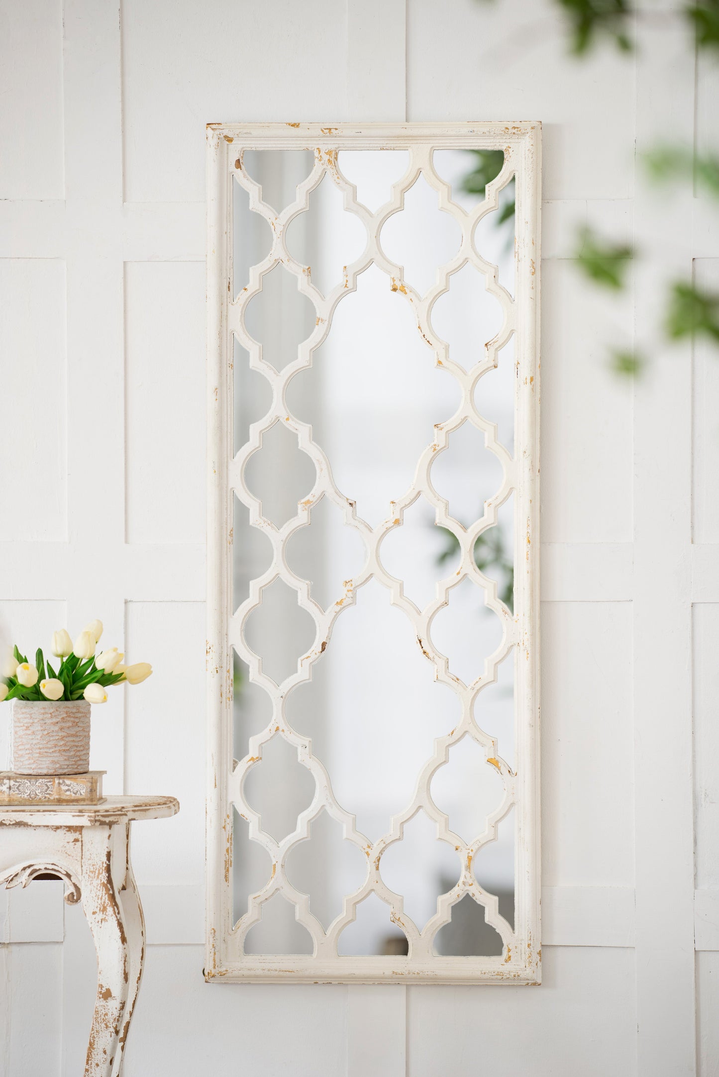 24" x 60" Distressed Full Length Mirror