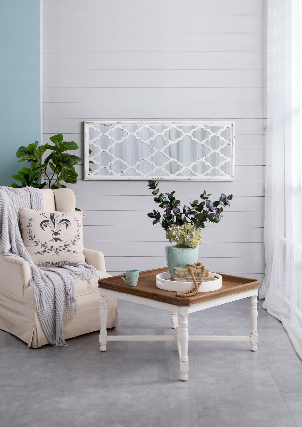 24" x 60" Distressed Full Length Mirror