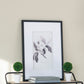 Set of 4 Botanical Wall Art Prints
