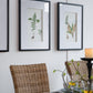 Set of 4 Botanical Wall Décor