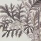 Set of 4 Botanical Wall Art Prints