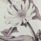 Set of 4 Botanical Wall Art Prints