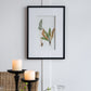 Set of 4 Botanical Wall Décor