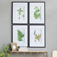 Set of 4 Botanical Wall Décor