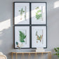 Set of 4 Botanical Wall Décor
