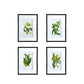 Set of 4 Botanical Flower Wall Art