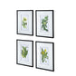 Set of 4 Botanical Flower Wall Art