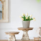 D10.5" x 7.5" Cake Stand, Wood Cake Plate with Magnesium Base