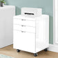 Rolling Mobile File Cabinet with Storage Drawers