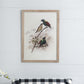 S/2 Bird Framed Print, 19.5x27.5"