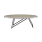 Allis - Coffee Table - Weathered Gray Oak & Metal