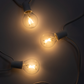 Ambience Globe LED Plug In String Lights
