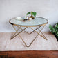 Valora Frosted Glass Top & Champagne Finish Coffee Table