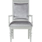Maverick Fabric & Platinum Finish Arm Chair Set of 2