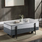 Wilkins High Gloss Coffee Table with Lift Top - Gray / White