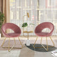Modern Accent Velvet Chairs Set of 2