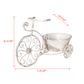 Rustic Bicycle Metal Wire Wall Planter Basket