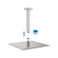 8" Ceiling Mounted Shower Arm with Flange in Brushed Nickel