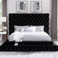 Fully Upholstered Frame Bed