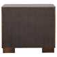Polk Cappuccino 2-Drawer Nightstand