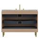 Amara 48'' Bathroom Vanity & Sink