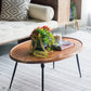 39x26x16" Oval Coffee Table