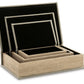 Jolina - Box Set