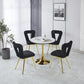 Modern Chair Set of 2 with Golden Color Iron Tube Legs