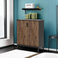 31.5 Inches Brown & Black Shoe Cabinet