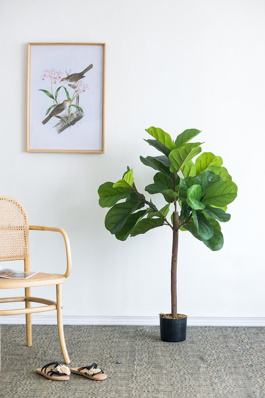 25x25x52"H Fiddle Fig Leaf Tree, 40 Leaves
