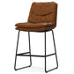 Danika Counter Height Stool (Set of 2)